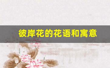 彼岸花的花语和寓意