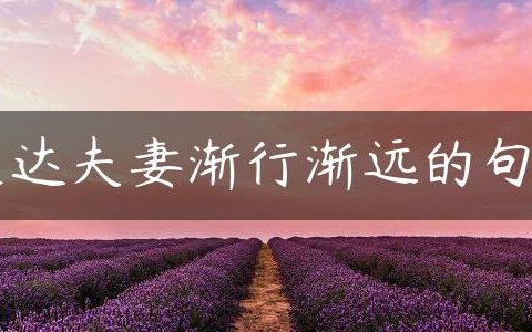 表达夫妻渐行渐远的句子