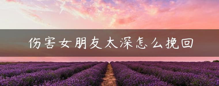 伤害女朋友太深怎么挽回
