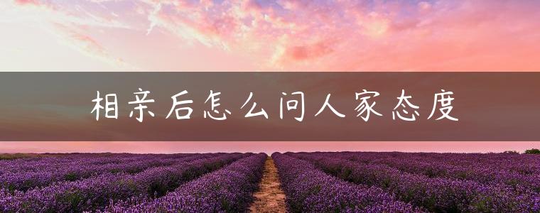 相亲后怎么问人家态度