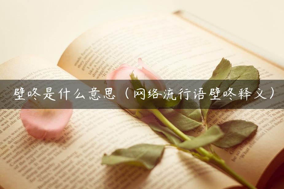 壁咚是什么意思（网络流行语壁咚释义）