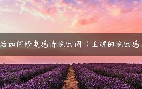 情侣吵架后如何修复感情挽回词（正确的挽回感情的方式）