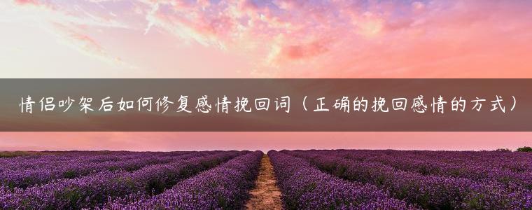 情侣吵架后如何修复感情挽回词（正确的挽回感情的方式）