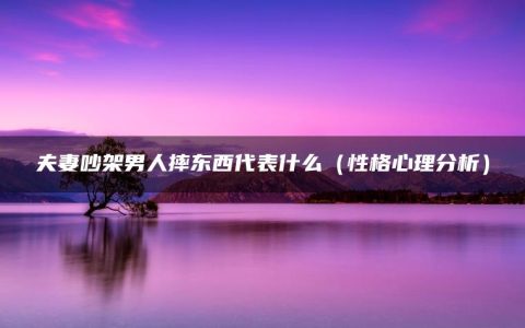 夫妻吵架男人摔东西代表什么（性格心理分析）