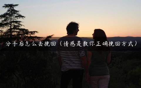 分手后怎么去挽回（情感是教你正确挽回方式）