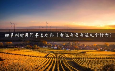 细节判断男同事喜欢你（看他有没有这几个行为）
