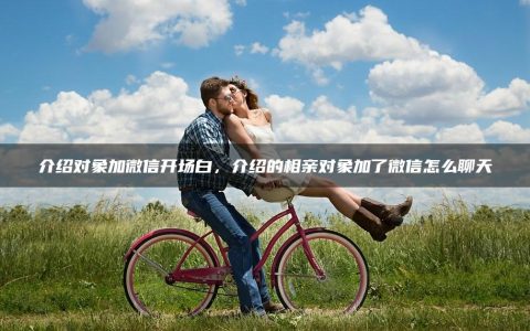 介绍对象加微信开场白_介绍的相亲对象加了微信怎么聊天