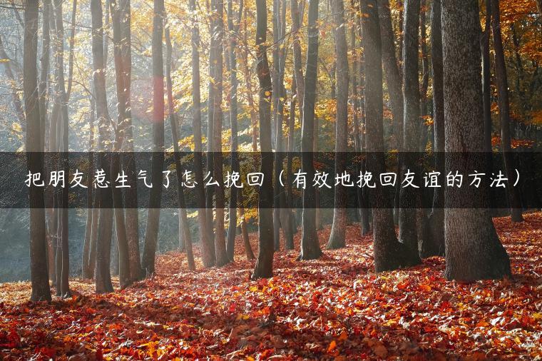 把朋友惹生气了怎么挽回（有效地挽回友谊的方法）