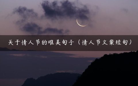 关于情人节的唯美句子（情人节文案短句）