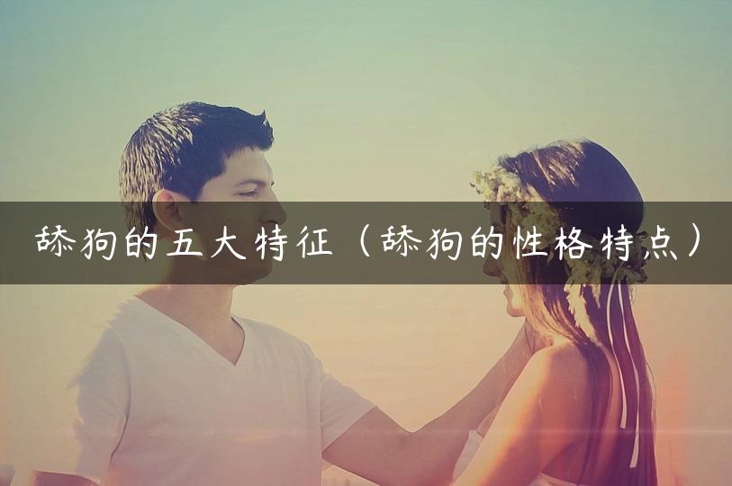 舔狗的五大特征（舔狗的性格特点）