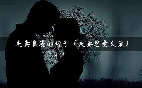 夫妻浪漫的句子（夫妻恩爱文案）