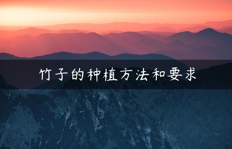 竹子的种植方法和要求
