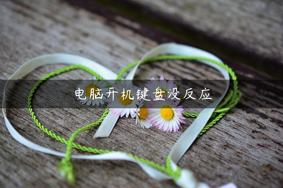 电脑开机键盘没反应