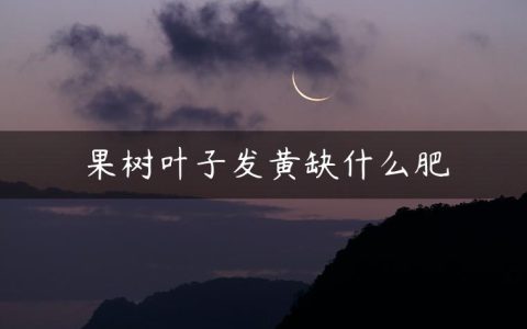 果树叶子发黄缺什么肥