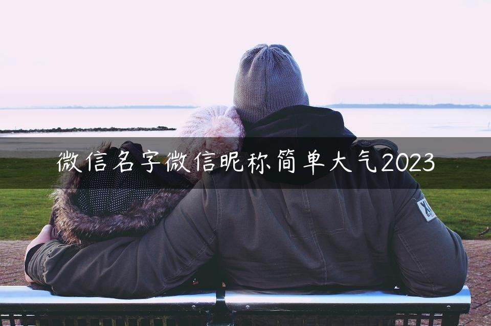 微信名字微信昵称简单大气2023
