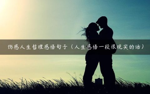 伤感人生哲理感悟句子（人生感悟一段很现实的话）
