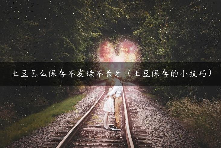 土豆怎么保存不发绿不长牙（土豆保存的小技巧）