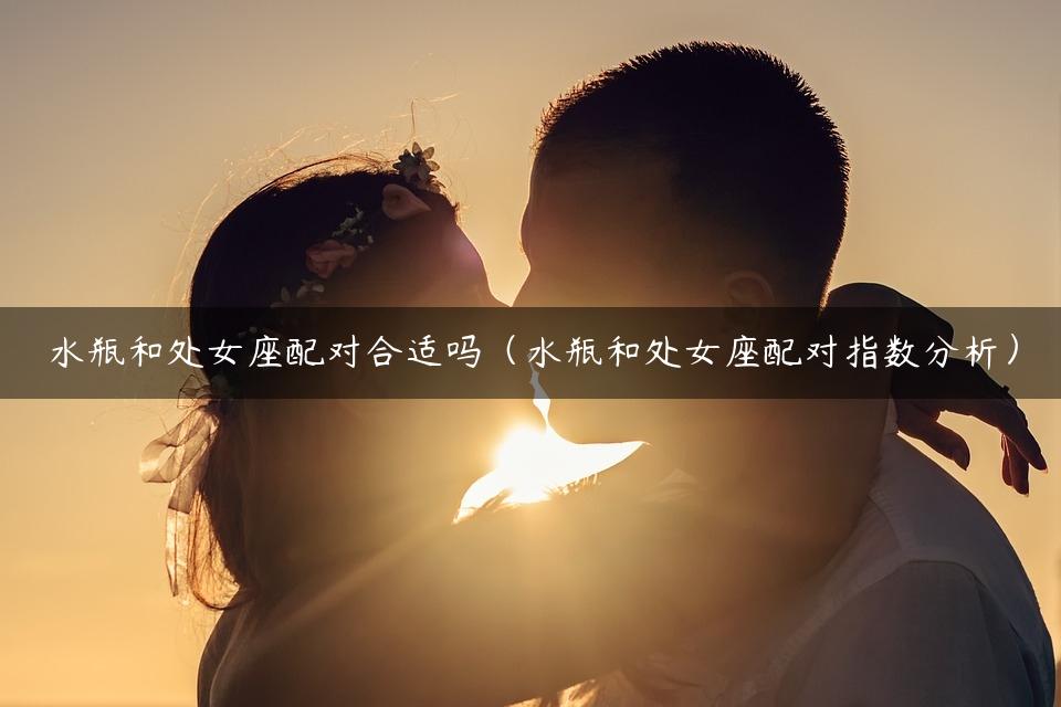 水瓶和处女座配对合适吗（水瓶和处女座配对指数分析）