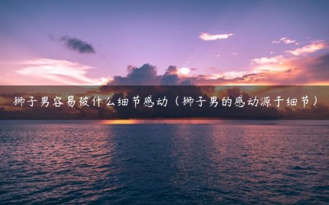 狮子男容易被什么细节感动（狮子男的感动源于细节）