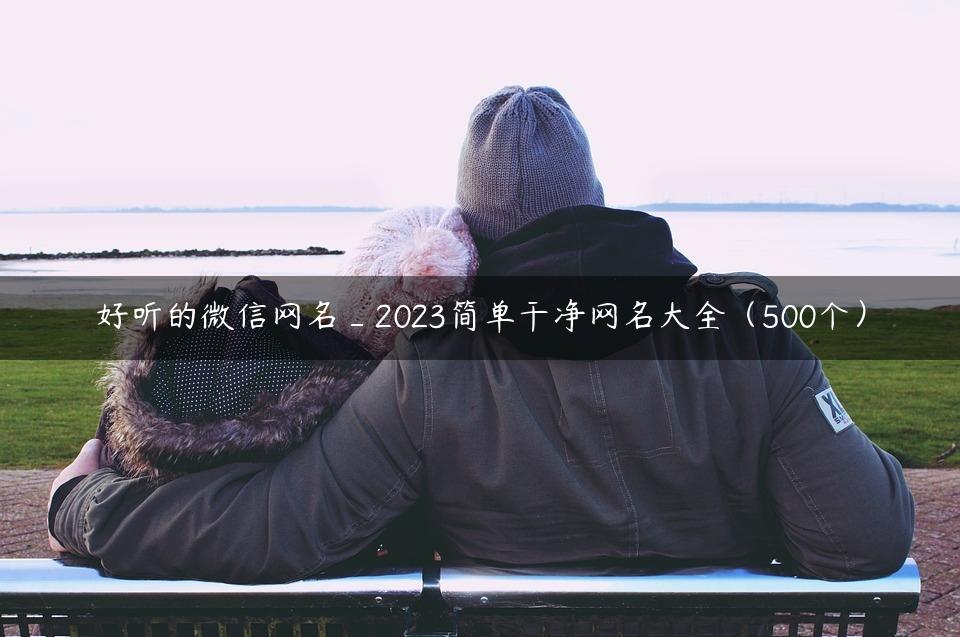 好听的微信网名_2023简单干净网名大全（500个）