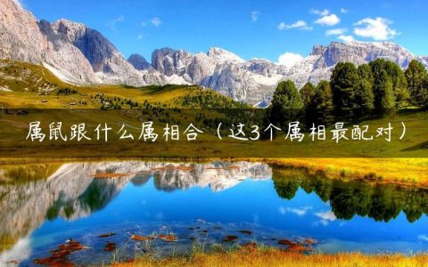 属鼠跟什么属相合（这3个属相最配对）