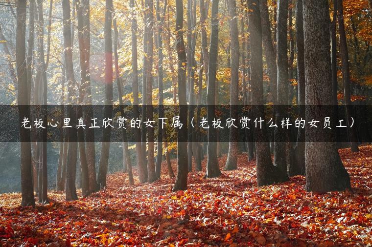 老板心里真正欣赏的女下属（老板欣赏什么样的女员工）