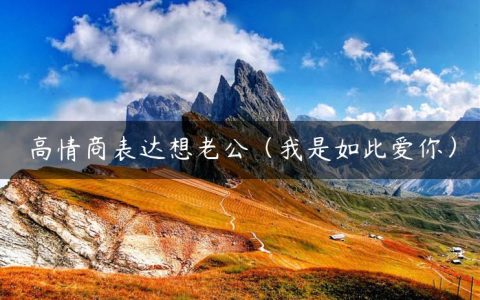 高情商表达想老公（我是如此爱你）