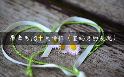 愚孝男10十大特征（宝妈男的表现）