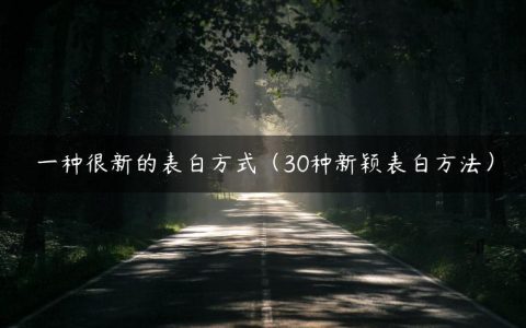 一种很新的表白方式（30种新颖表白方法）