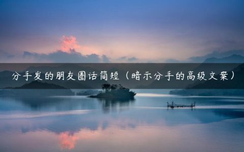 分手发的朋友圈话简短（暗示分手的高级文案）