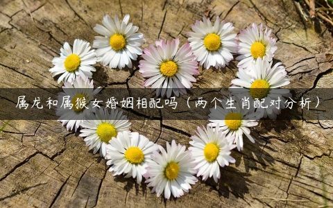 属龙和属猴女婚姻相配吗（两个生肖配对分析）
