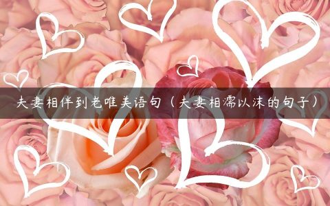 夫妻相伴到老唯美语句（夫妻相濡以沫的句子）