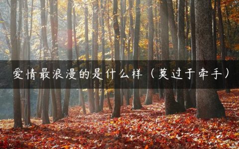爱情最浪漫的是什么样（莫过于牵手）