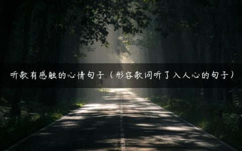 听歌有感触的心情句子（形容歌词听了入人心的句子）