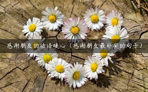 感谢朋友的话语暖心（感谢朋友最朴实的句子）