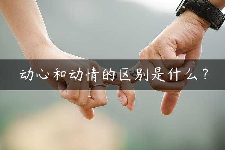 动心和动情的区别是什么？