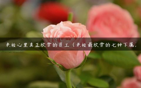 老板心里真正欣赏的员工（老板最欣赏的七种下属）