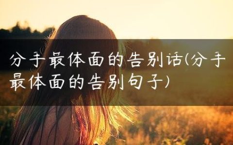 分手最体面的告别话(分手最体面的告别句子)
