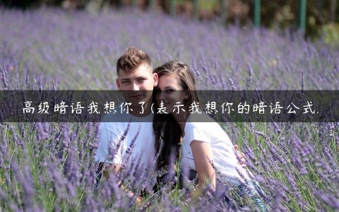 高级暗语我想你了(表示我想你的暗语公式)