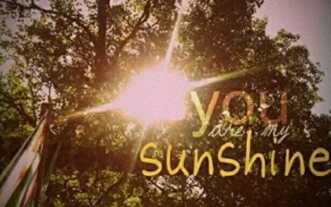 sunshine在爱情里代表什么？